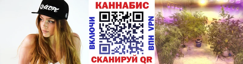 Где продают наркотики Елизово Гашиш  КОКАИН  Псилоцибиновые грибы  Меф 