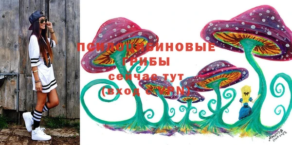 дурь Алзамай