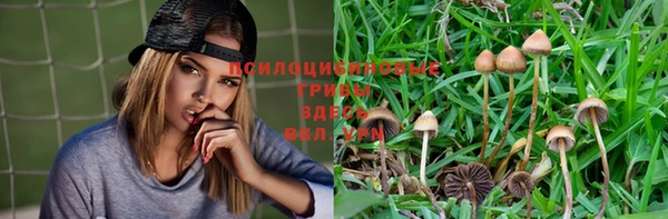 кристаллы Алексеевка