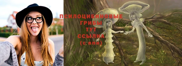 ПСИЛОЦИБИНОВЫЕ ГРИБЫ Алексин